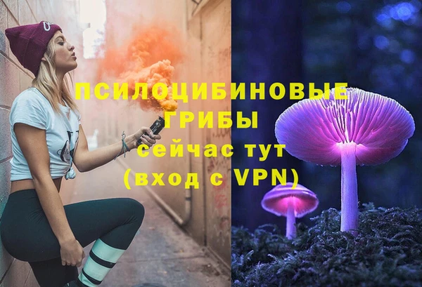 крисы Володарск
