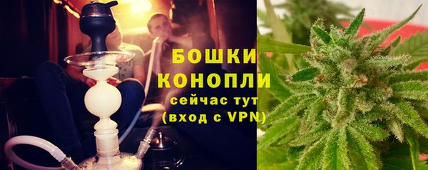 крисы Володарск